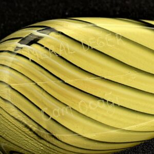 Signature sur la tourterelle d'Istanbul jaune en verre par l'artiste Meral Deger